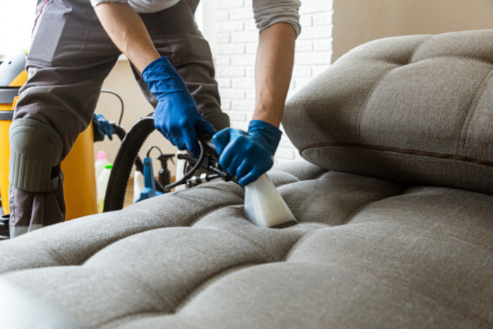 Person reinigt Sofa professionell